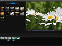Things to Consider When Choosing a Photo Editing Tool