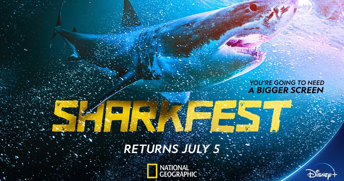 Insane Sharkfest Lineup Includes Shark Beach with Chris ...