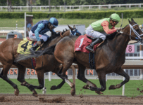Betting Odds and Other Ways to Pick a Winning Horse