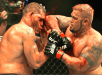 Top 10 Killer Facts About MMA