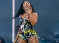 See Photos From Megan Thee Stallion’s Sexy Lollapalooza Set