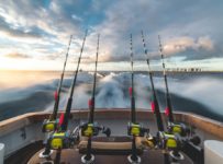 Thinking of Trying Fishing? Here are 6 Important Things To Know