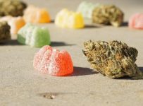 Weed Gummies: The New Hype