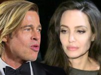 Brad Pitt Sues Angelina Jolie for Selling Winery Interest to Russian Oligarch