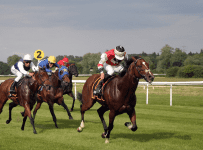 Ultimate Horse Race Betting Tips For 2022
