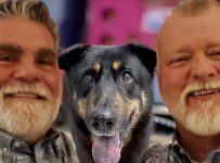 ‘Gay’ Dog Adopted by Gay Couple in North Carolina, Changing Name