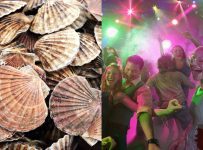 Scientists discover that scallops “love” disco lights