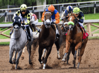 What You Need To Know About Betting At The Belmont Stakes